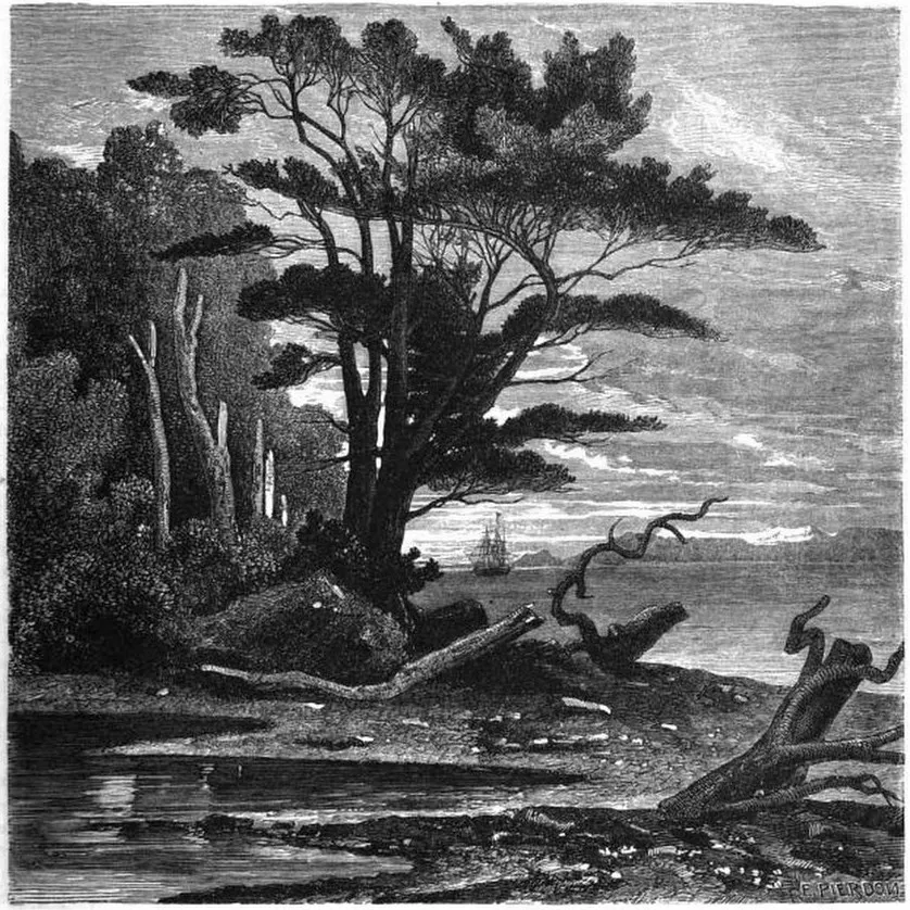 Vista de Puerto del Hambre — aprox. 1861 | Chile de Ayer