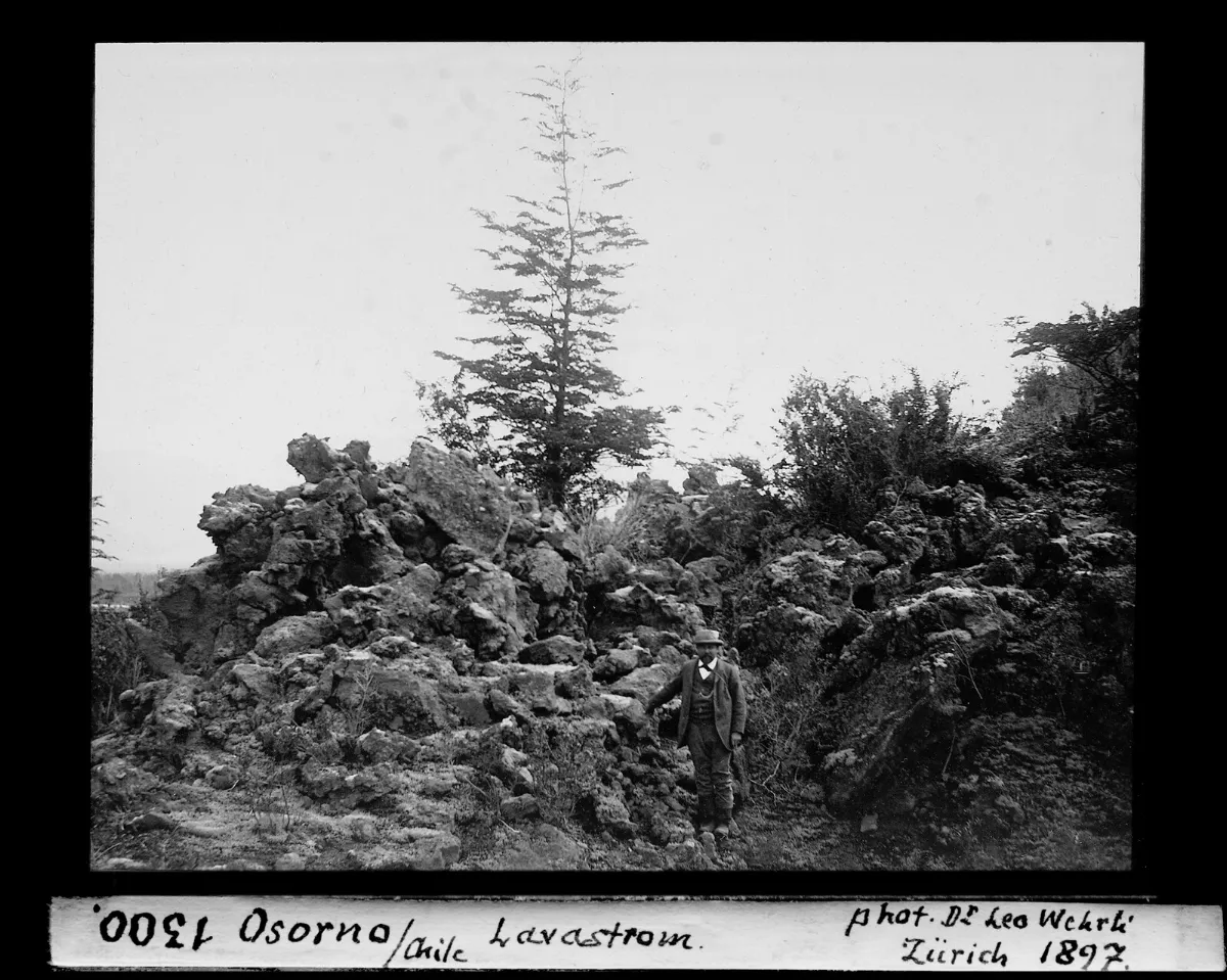 Rocas, plantas y un hombre, Chile, 1897 — aprox. 1897 | Chile de Ayer
