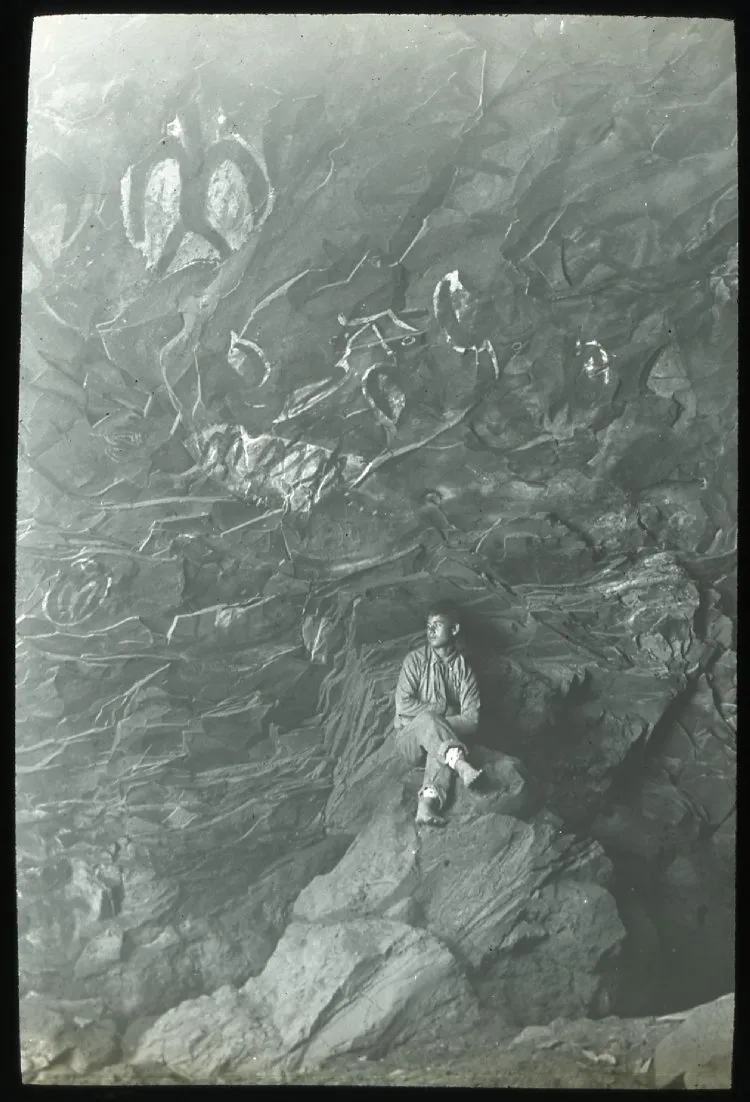 Diapositiva de linterna mágica, circa 1914 — aprox. 1914 | Chile de Ayer