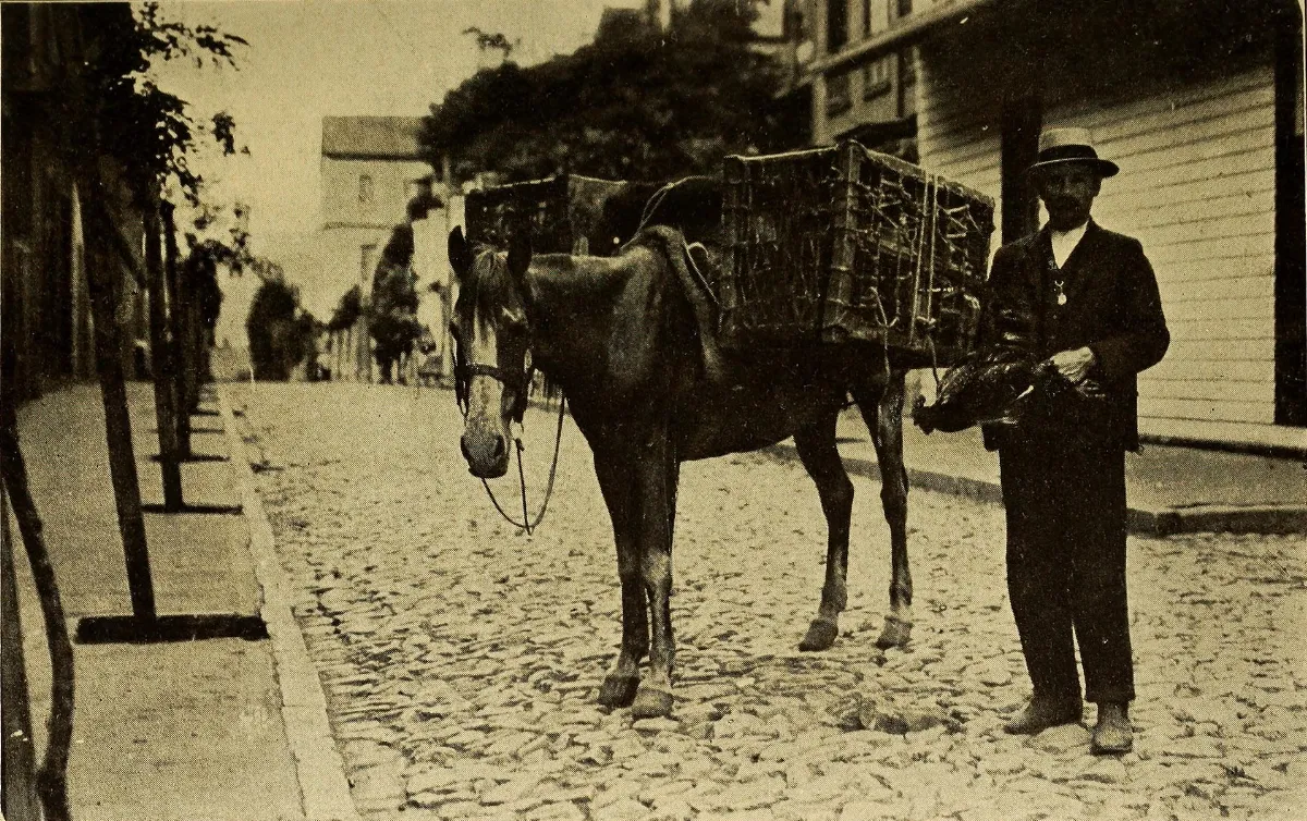 Vendedor de pollos, Valparaíso, 1912 — aprox. 1912 | Chile de Ayer