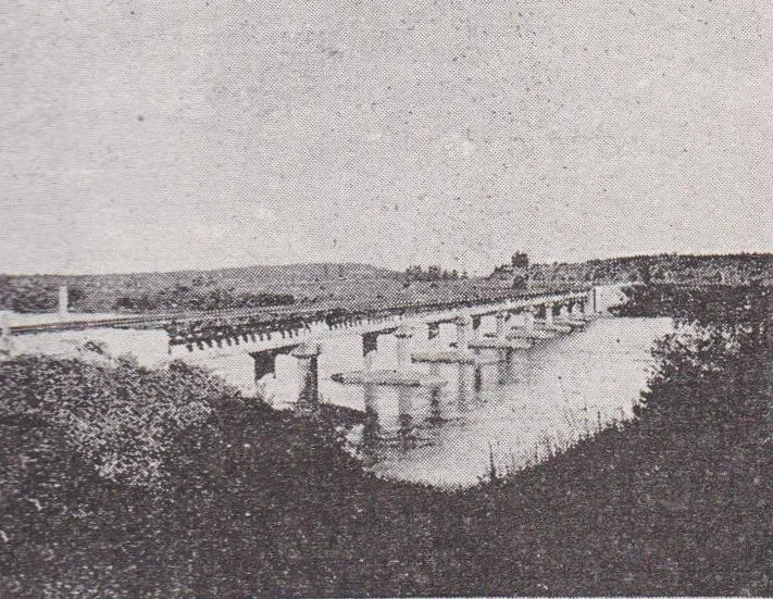 Puente Biobío en Coigüe, circa 1929 — aprox. 1929 | Chile de Ayer