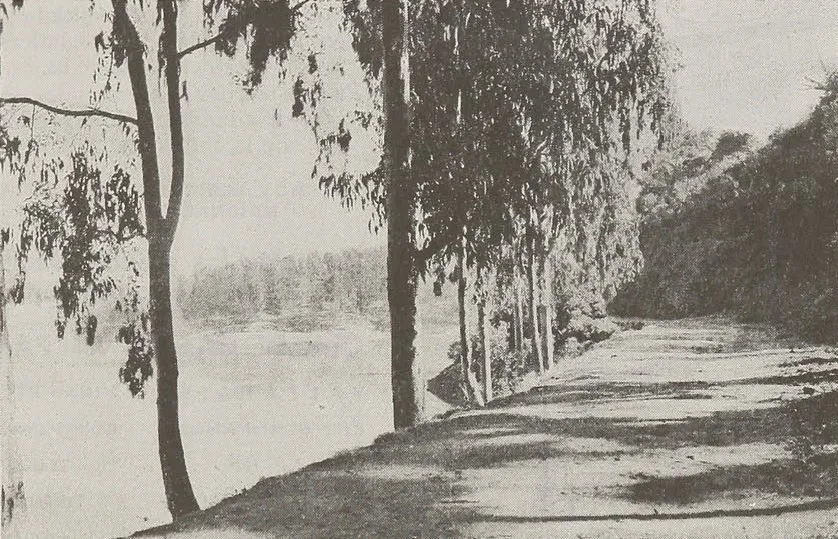 Laguna Sausalito, Viña del Mar, Chile. — aprox. 1934 | Chile de Ayer