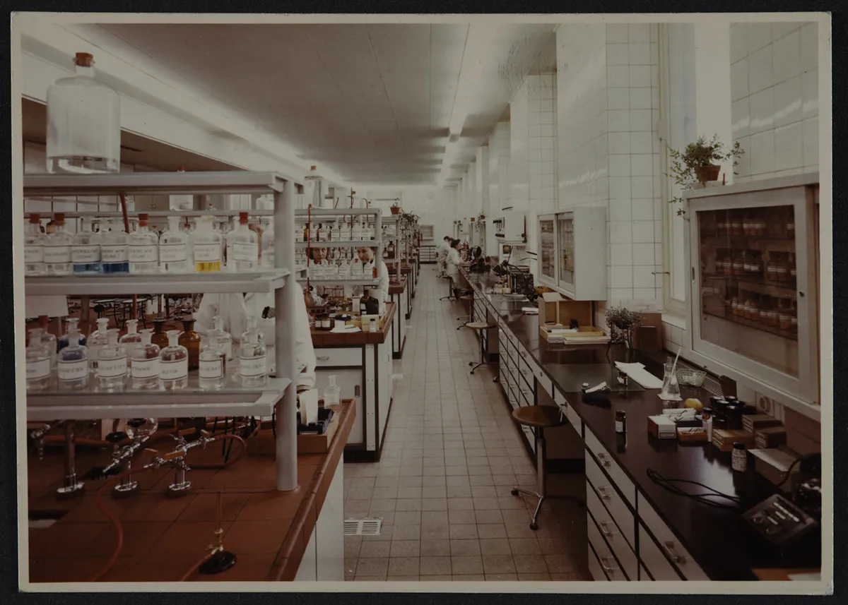 Planta de Elberfeld — aprox. 1956 | Chile de Ayer