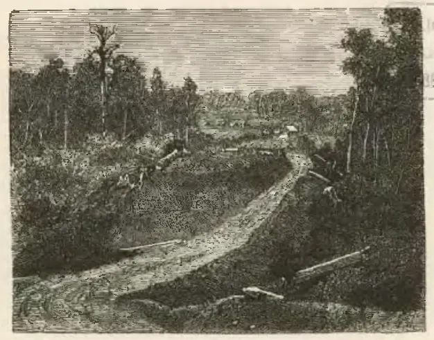 Puerto Montt - Camino a la laguna de Llanquihue — 1872 | Chile de Ayer