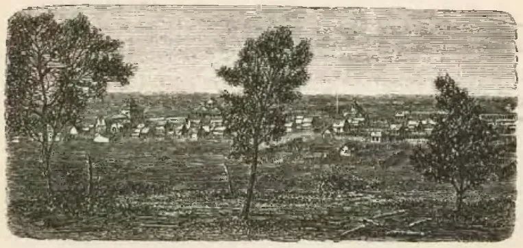 Punta Arenas - Vista jeneral — 1872 | Chile de Ayer