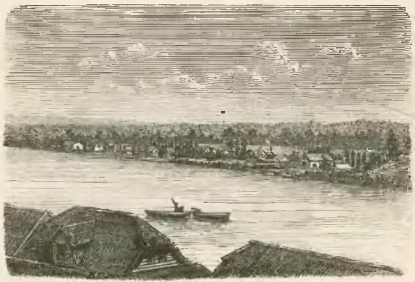 Valdivia - Principio de la Isla de la Teja — 1872 | Chile de Ayer