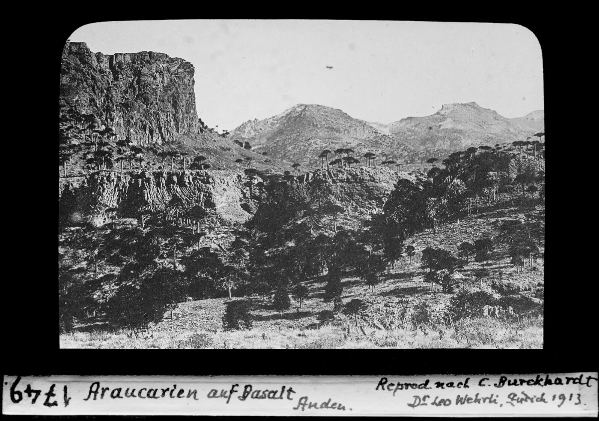 Araucanía en Basalt Anden — aprox. 1913–1940 | Chile de Ayer