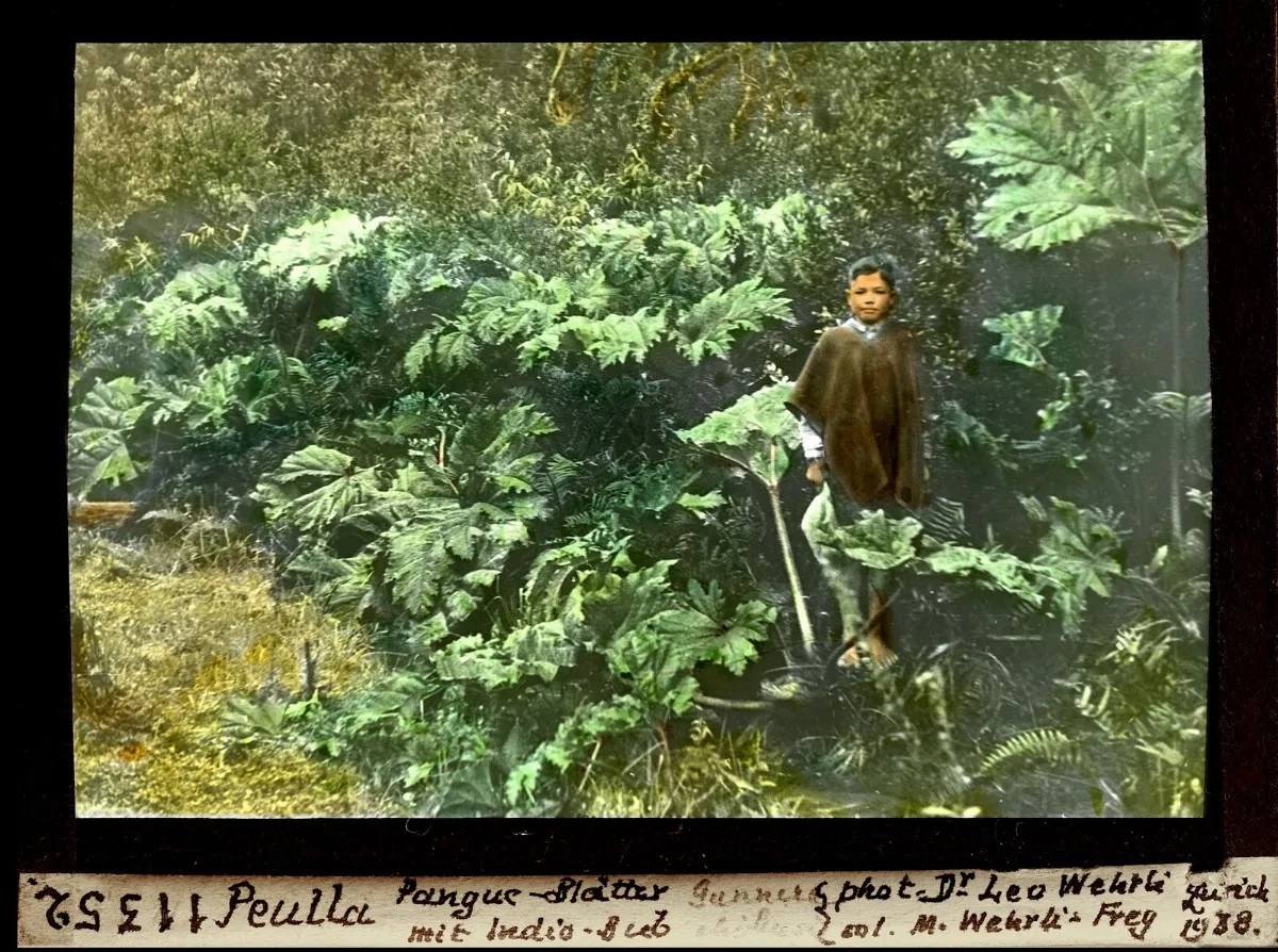 Hombre con poncho en Peulla, 1938 — 1938 | Chile de Ayer