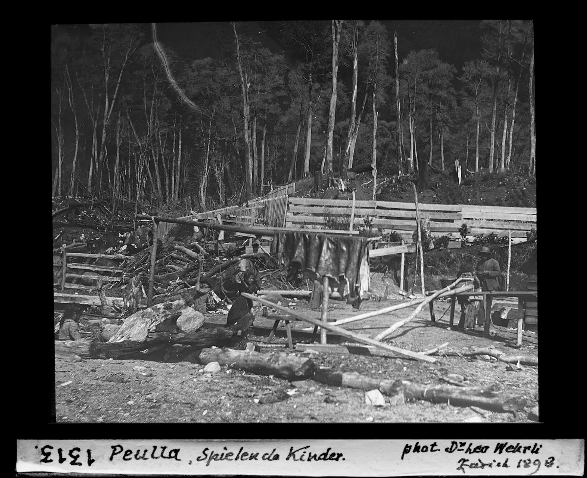 Cerco de madera y bosque — aprox. 1898–1940 | Chile de Ayer