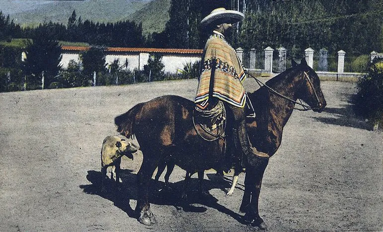 Hacendado chileno, costumbres chilenas — aprox. 1913–1930 | Chile de Ayer