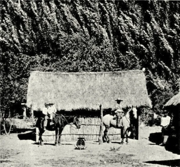 Imagen de Chile — aprox. 1903–1930 | Chile de Ayer