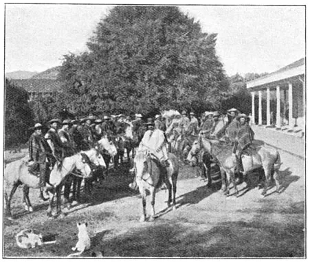 Reunión dominical de jefes de hacienda — aprox. 1890–1930 | Chile de Ayer