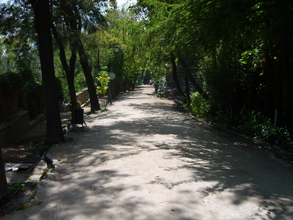 Antiguo Camino del Ferrocarril — aprox. 1880–1930 | Chile de Ayer