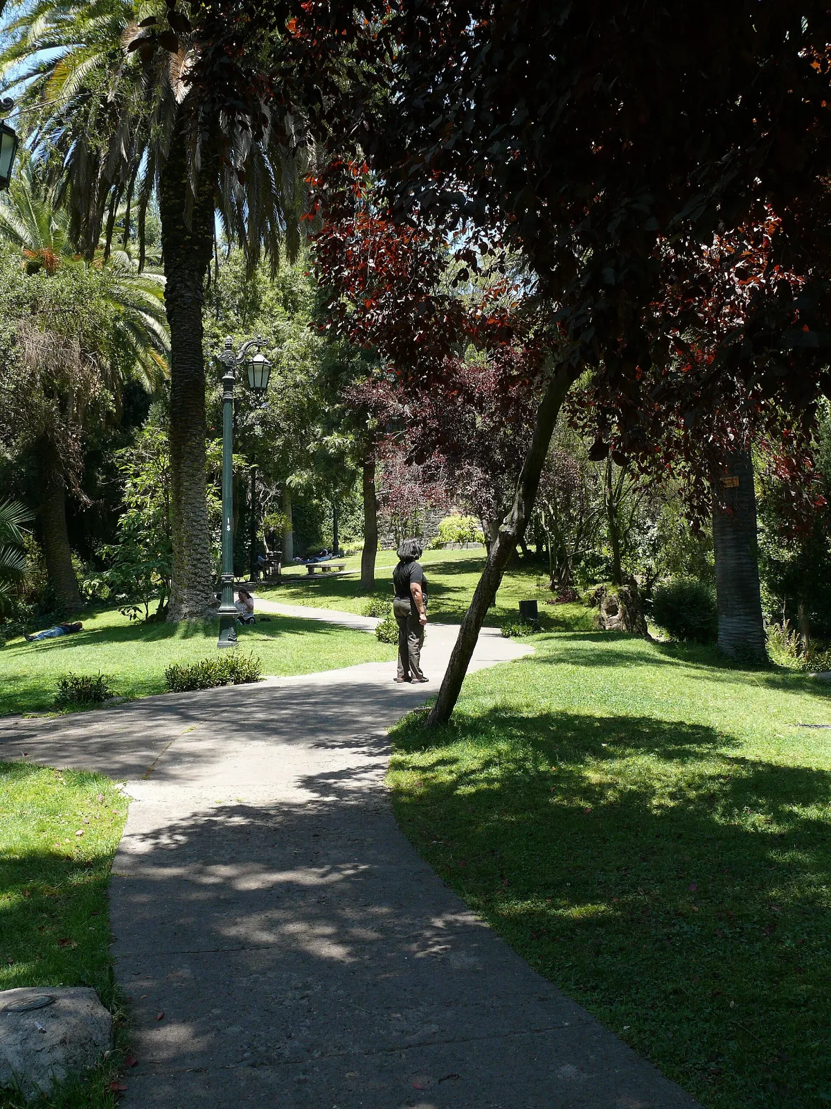 Sendero con estatua del Caleuche entre palmeras en el Cerro Santa Lucía, Santiago — aprox. 1880–1930 | Chile de Ayer