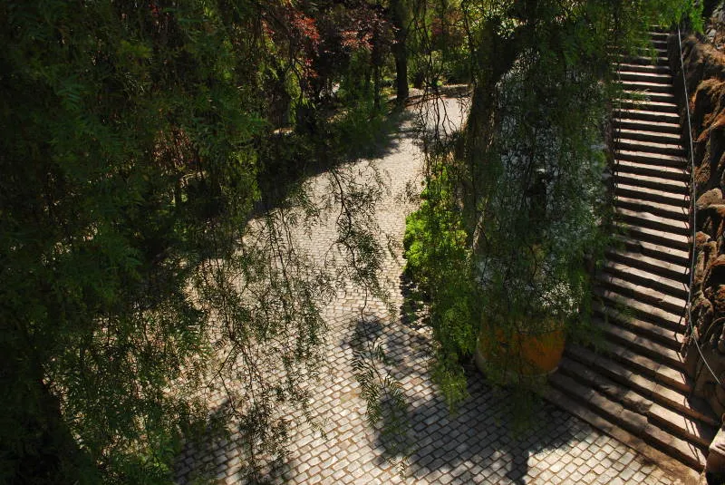 Sendero adoquinado junto a escalera de madera en el Cerro Santa Lucía, Santiago — aprox. 1880–1930 | Chile de Ayer