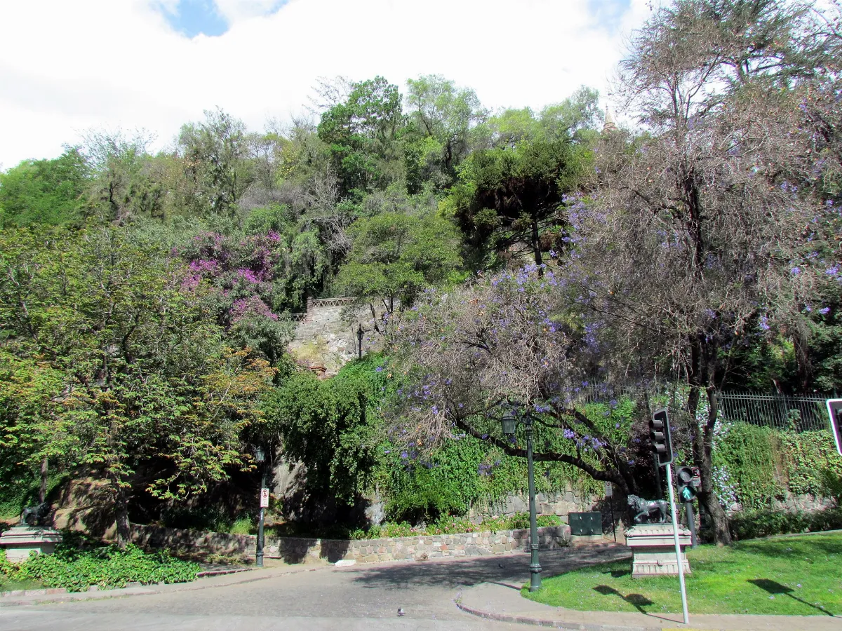 Cerro Santa Lucía con jacarandás en flor — aprox. 1880–1930 | Chile de Ayer