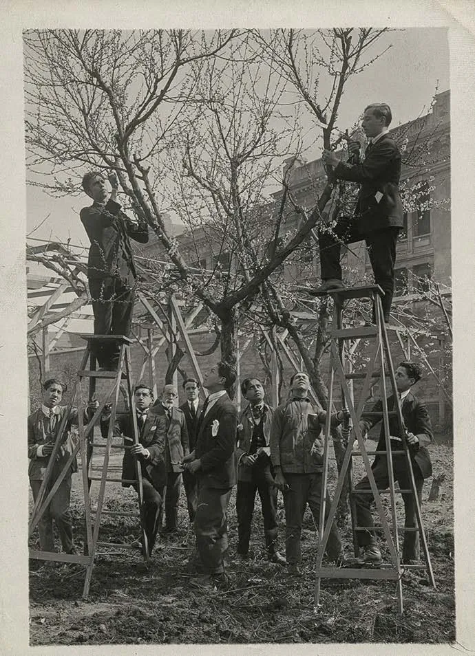 Actividad de normalistas, hacia 1940 — 1940 | Chile de Ayer
