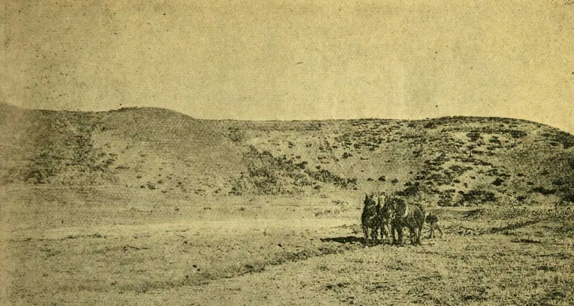 Arando para la siembra de avena, estancia Cameron, Tierra del Fuego, 1923 — 1923 | Chile de Ayer
