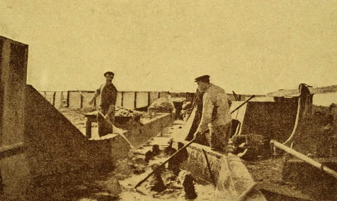 Bañadero de ovejas en una estancia magallánica, 1924 — 1924 | Chile de Ayer