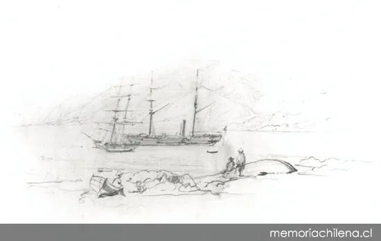Barcos en el puerto de Cobija, hacia 1900 — 1900 | Chile de Ayer