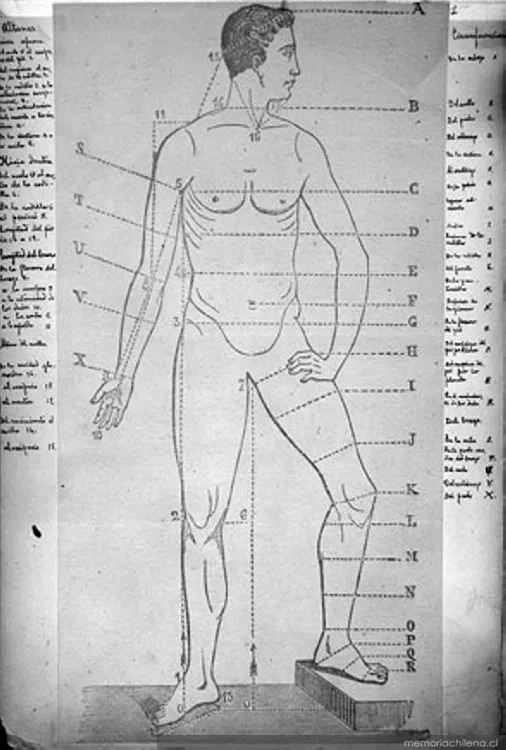 Dibujo del cuerpo humano, hacia 1884 — 1884 | Chile de Ayer