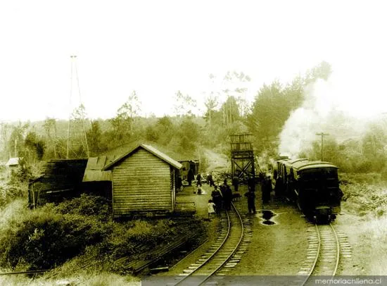 Estación de ferrocarril entre Castro y Ancud, hacia 1930 — 1930 | Chile de Ayer