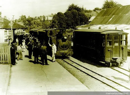 Estación de ferrocarril entre Castro y Ancud, hacia 1930 — 1930 | Chile de Ayer