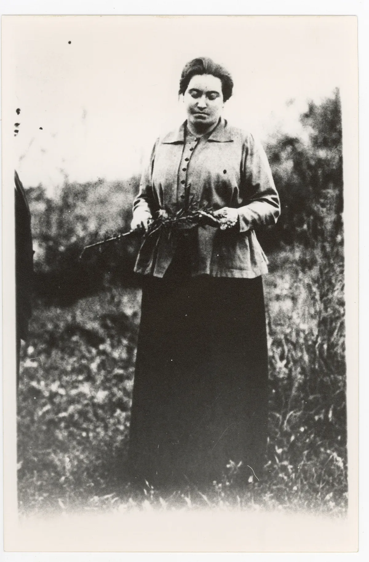 Gabriela Mistral con ramas en ambiente rural — 1917 | Chile de Ayer