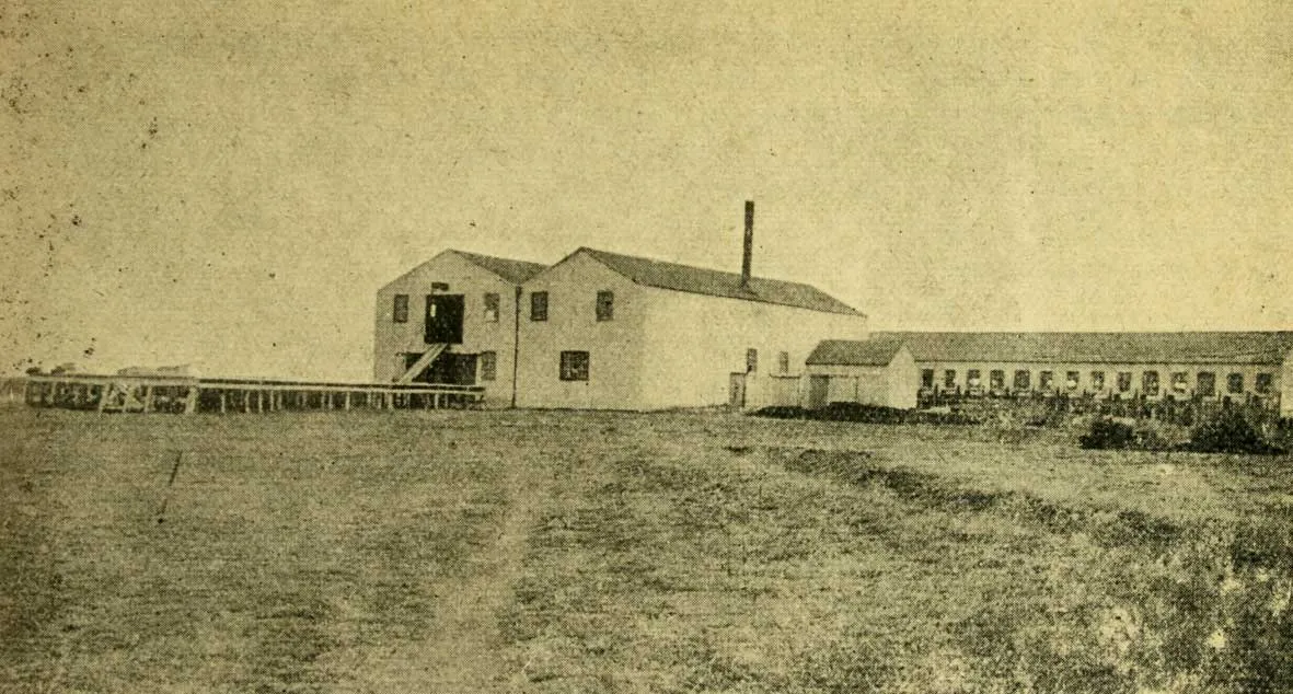 Galpón de esquila de la Estancia San Sebastián, Tierra del Fuego, 1923 — 1923 | Chile de Ayer