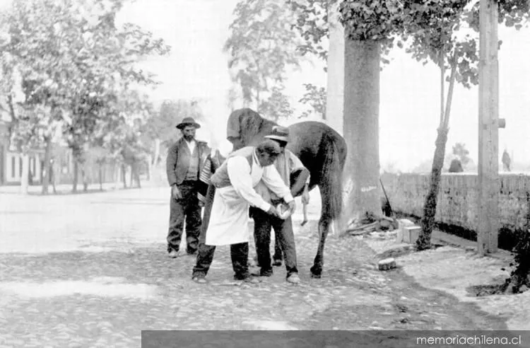 Herrador, hacia 1900 — 1900 | Chile de Ayer