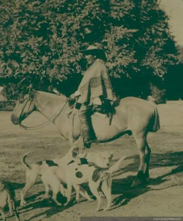 Hombre a caballo y sus perros, 1906 — 1906 | Chile de Ayer