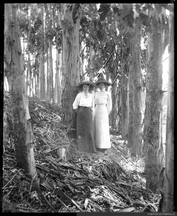 Mujeres en un bosque, hacia 1900 — 1900 | Chile de Ayer