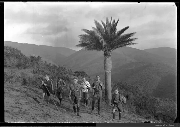 Grupo de scouts junto a palma, hacia 1900 — 1900 | Chile de Ayer