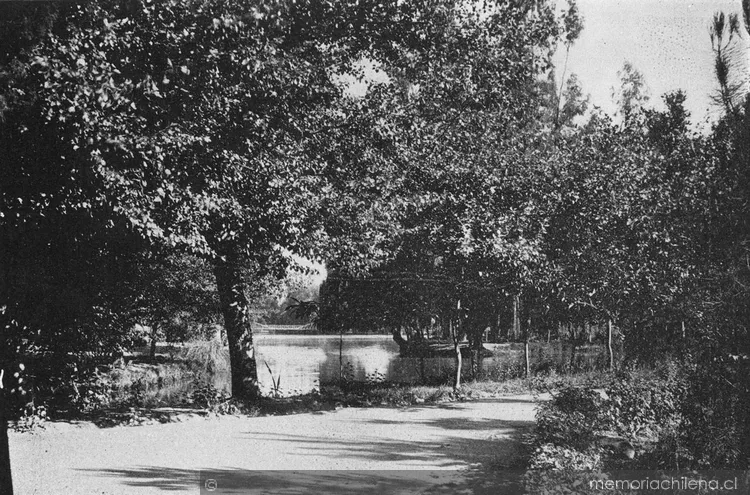Parque Cousiño, hacia 1910 — 1910 | Chile de Ayer