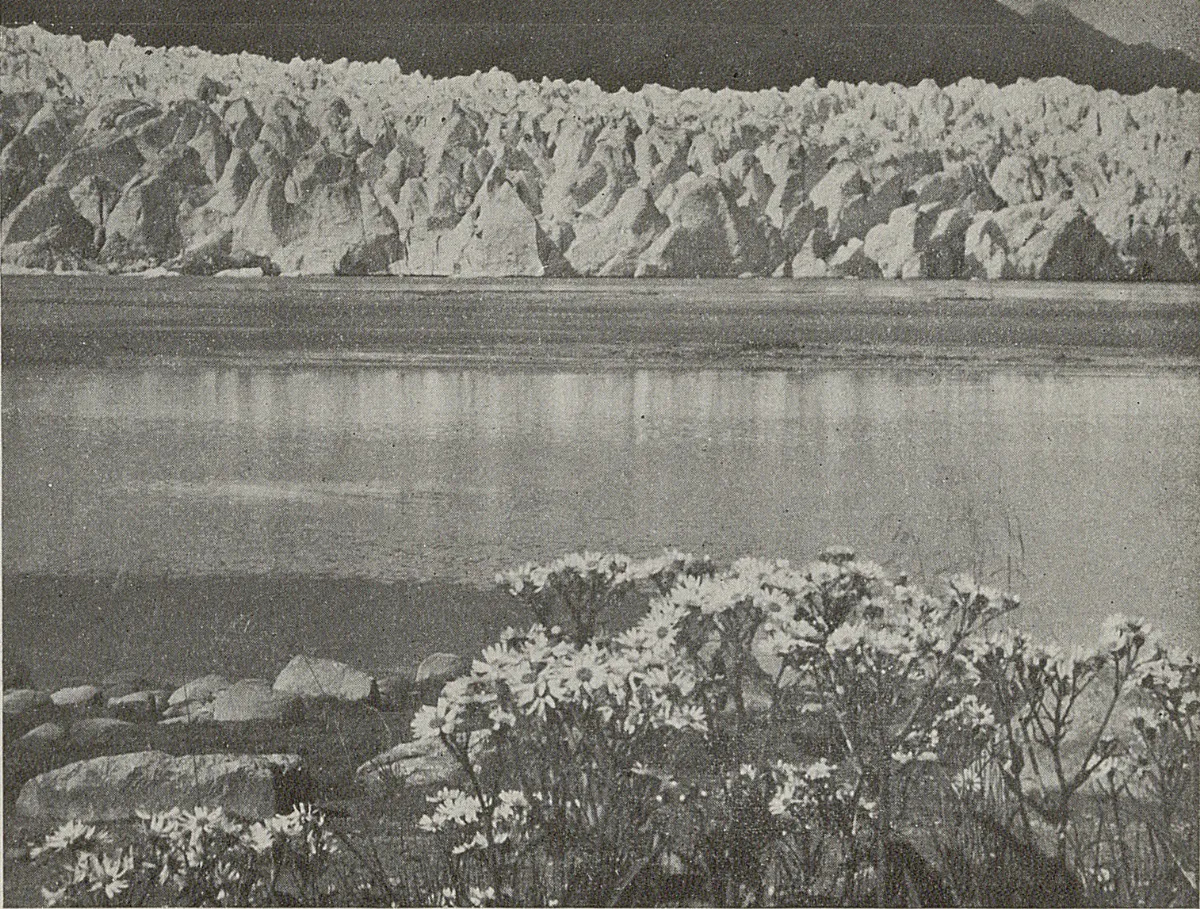 Ventisquero San Rafael, 1943 — 1943 | Chile de Ayer