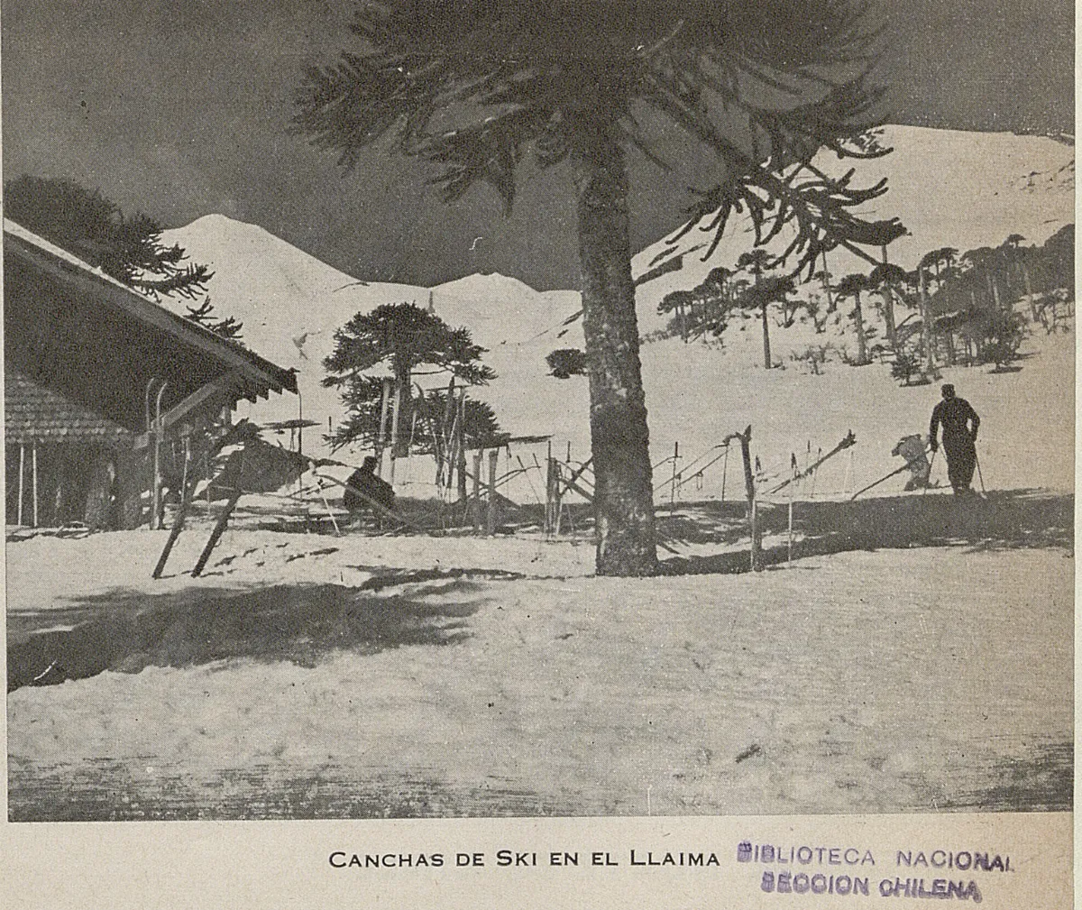 Canchas de esquí, Llaima, 1944 — 1944 | Chile de Ayer