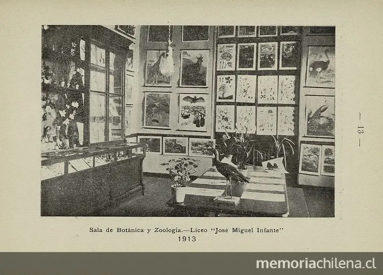 Sala de botánica y zoología del Liceo de señoritas " — 1913 | Chile de Ayer