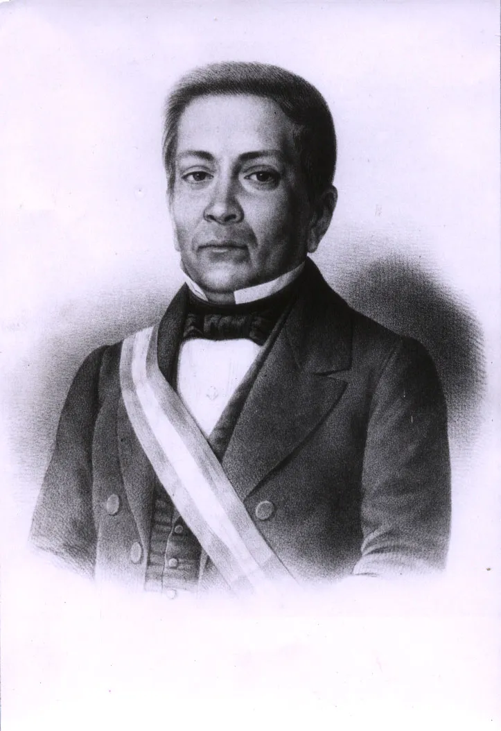 Manuel Montt Torres, hacia 1851 — 1858 | Chile de Ayer