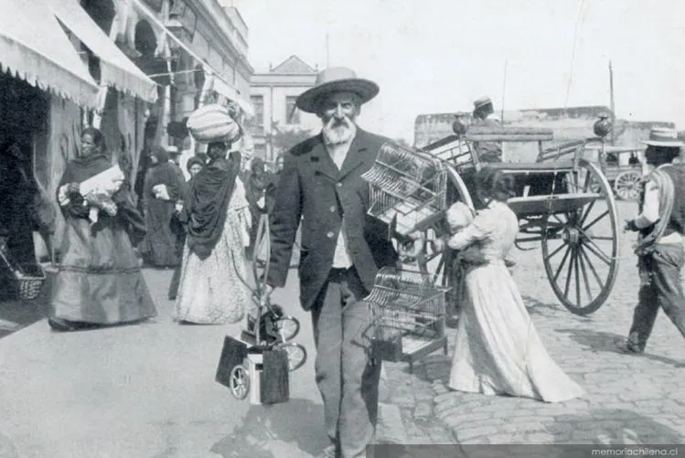 Vendedor de jaulas, hacia 1910 — 1910 | Chile de Ayer