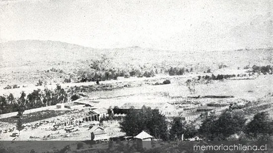 Sección La Colonia de la Sociedad Estancias, Posadas, Hobbs &amp — 1928 | Chile de Ayer