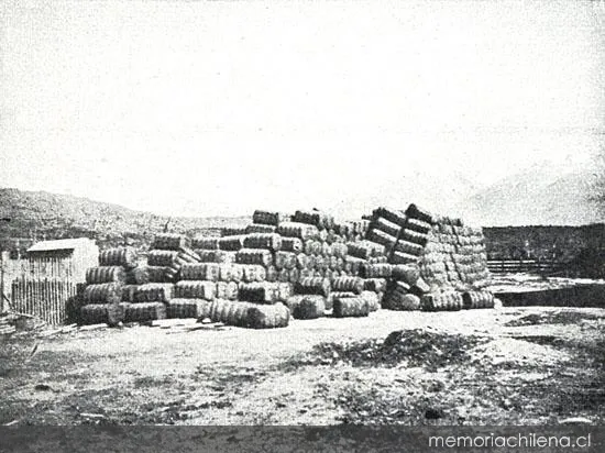 Cargamento de lana esperando su transporte río abajo para ser exportado, valle del Río Baker — 1928 | Chile de Ayer