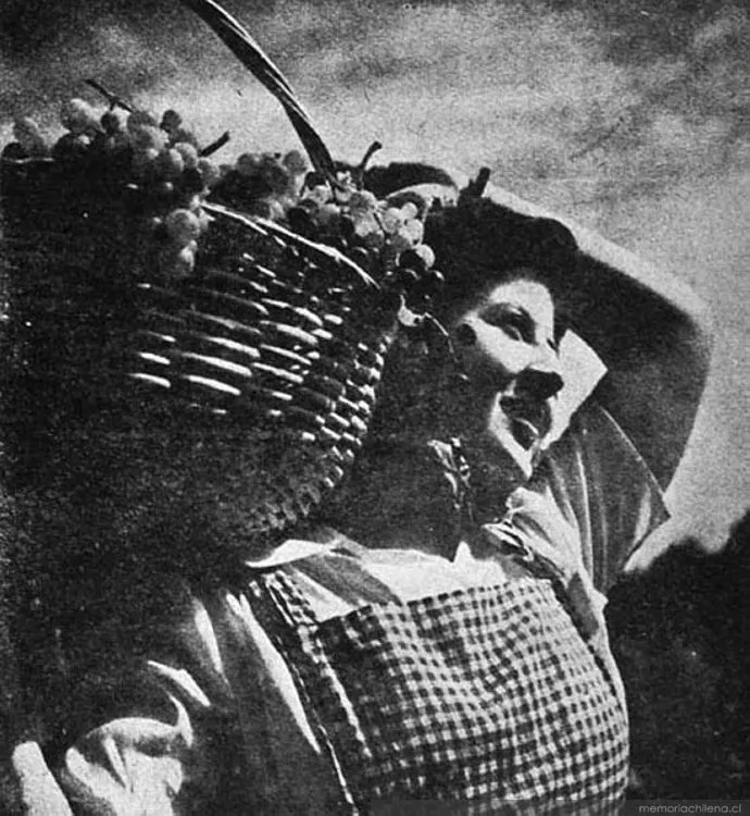 Recolectora de uvas, hacia 1945 — 1945 | Chile de Ayer