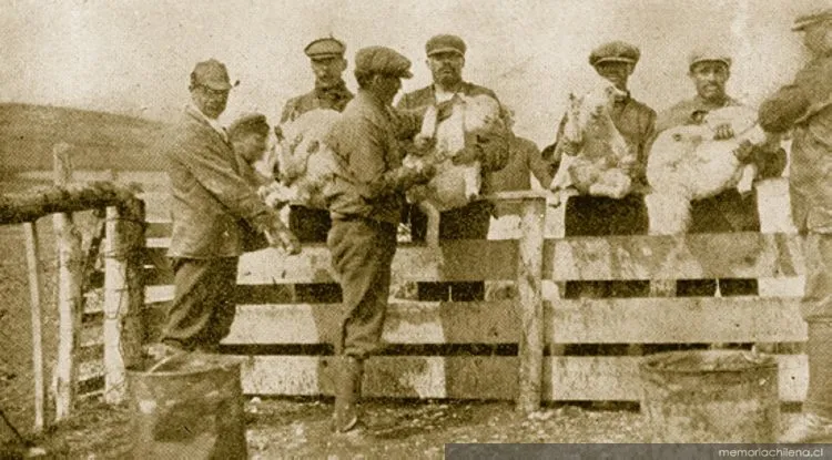 Obreros de la Estancia Las Lagunas, Magallanes, 1920 — 1920 | Chile de Ayer
