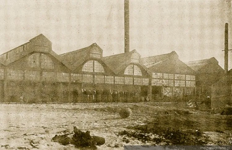 Fábrica de conservas de la Sociedad Frigorífica de Punta Arenas, 1920 — 1920 | Chile de Ayer