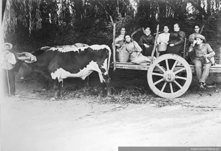 Retrato de grupo, 1905 — 1905 | Chile de Ayer