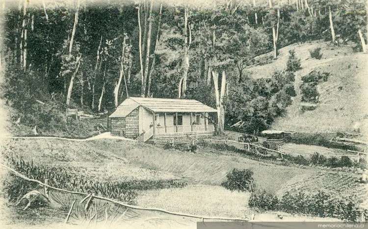Restaurante en merdio de la Montaña virgen, Temuco, 1905 — 1905 | Chile de Ayer