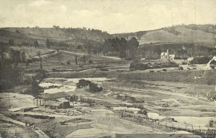 Traiguén y alrededores, 1919 — 1919 | Chile de Ayer