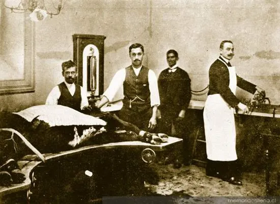 Cosecha de linfa vacunífera, hacia 1910 — 1910 | Chile de Ayer