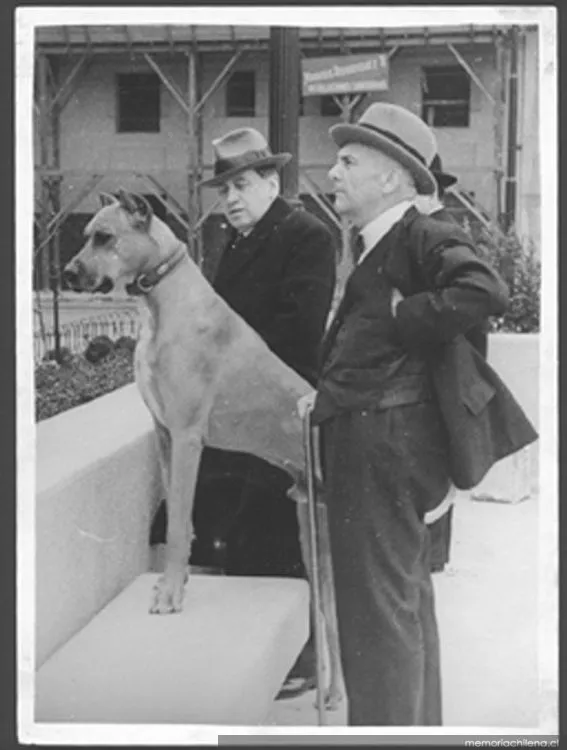 Alessandri inspeccionando caballo en exposición — 1925 | Chile de Ayer