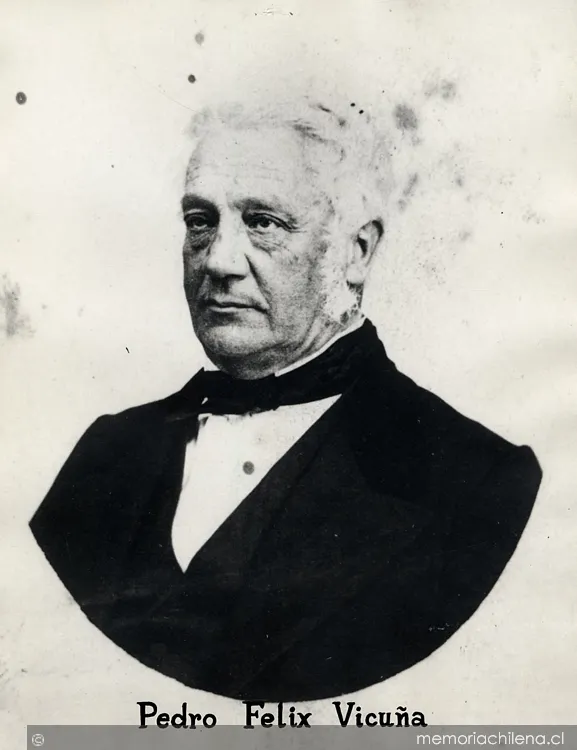 Pedro Félix Vicuña, 1805-1874 — 1845 | Chile de Ayer